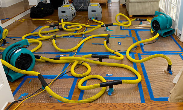 Professional Structural Drying And Dehumidification technician working in Homer, IL